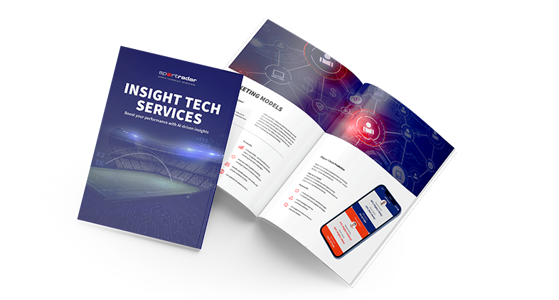 Insight Tech Services Brochure cover
